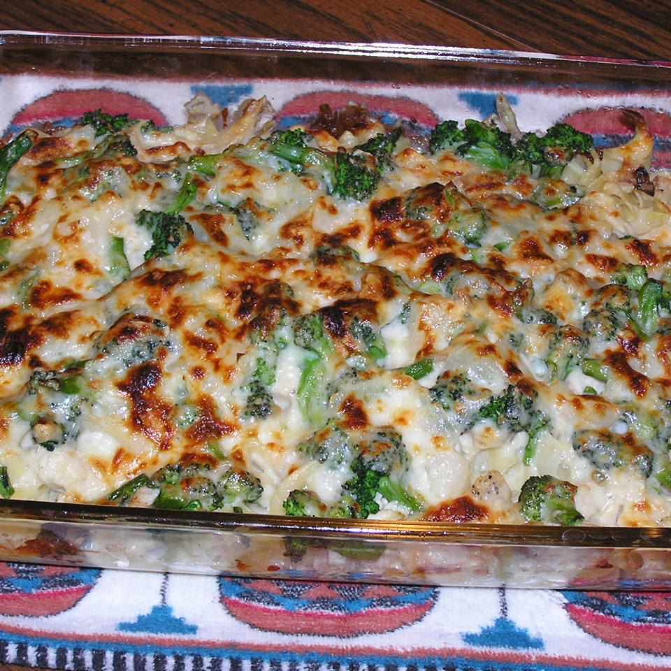 Silevers Savory Chicke and Broccoli Cassonoster
