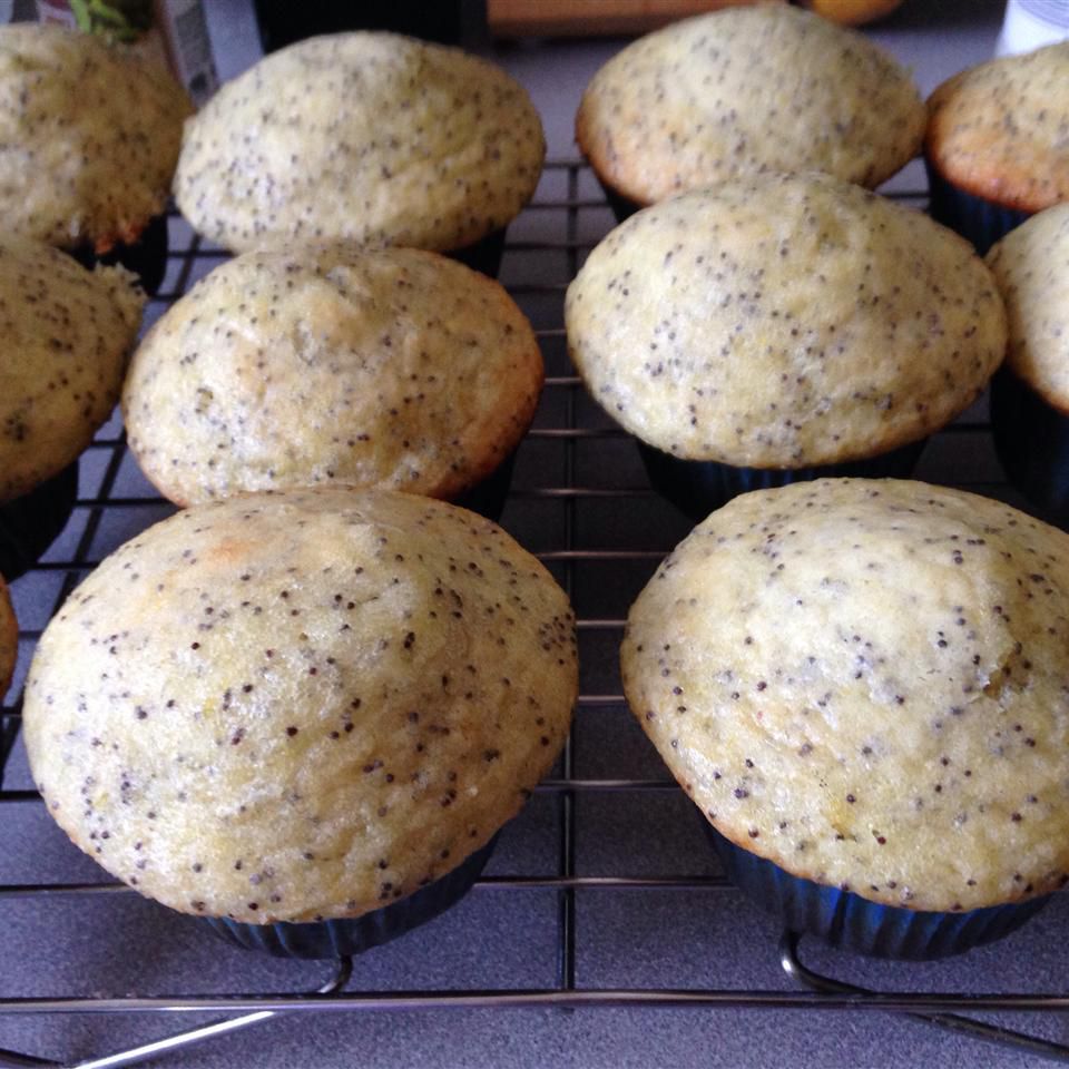 Lemony Moppy Seed Muffins