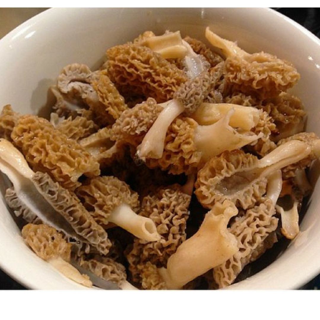 Морельские грибы