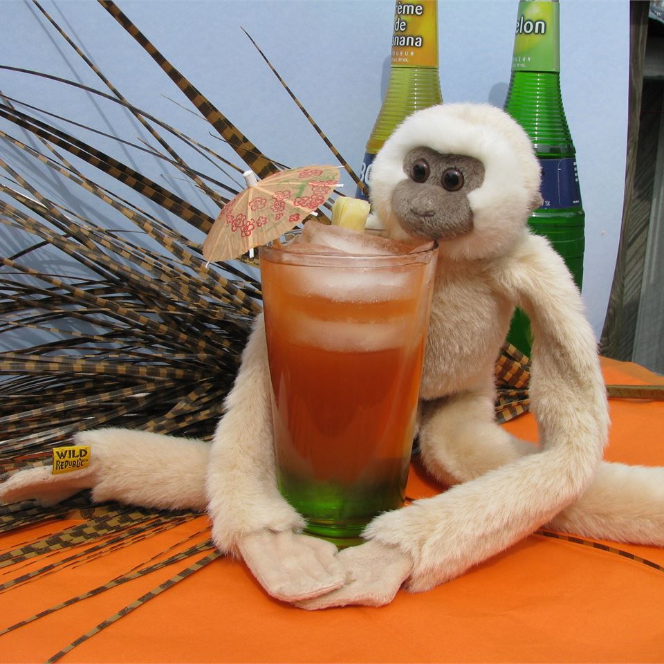Пьяная обезьяна